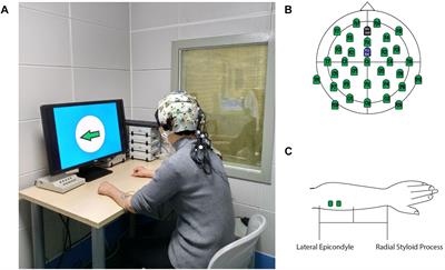 EEG Changes in Time and Time-Frequency Domain During Movement Preparation and Execution in Stroke Patients
